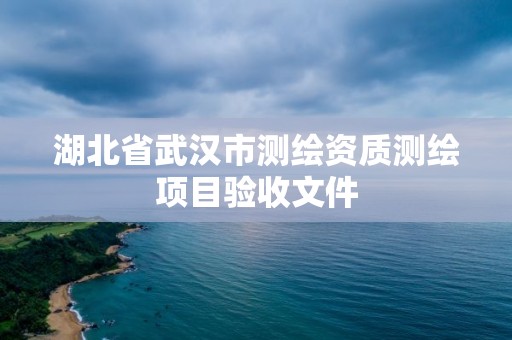 湖北省武汉市测绘资质测绘项目验收文件