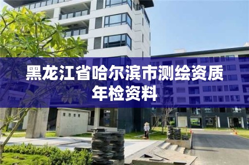 黑龙江省哈尔滨市测绘资质年检资料