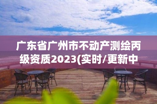 广东省广州市不动产测绘丙级资质2023(实时/更新中)