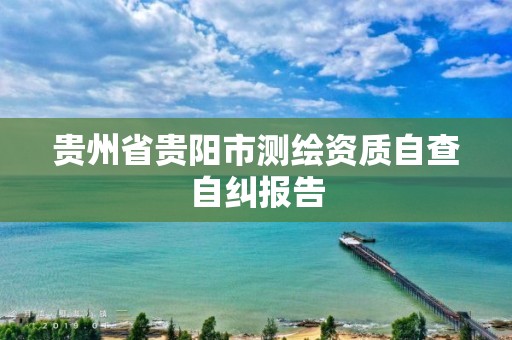 贵州省贵阳市测绘资质自查自纠报告