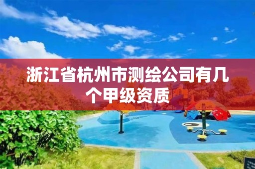 浙江省杭州市测绘公司有几个甲级资质