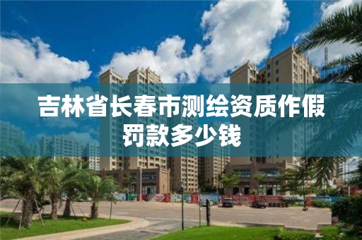 吉林省长春市测绘资质作假罚款多少钱