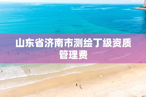 山东省济南市测绘丁级资质管理费