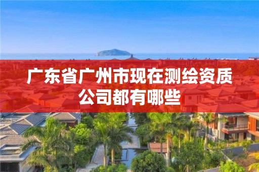 广东省广州市现在测绘资质公司都有哪些