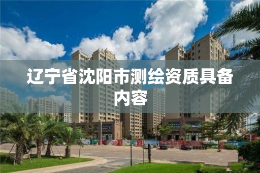 辽宁省沈阳市测绘资质具备内容