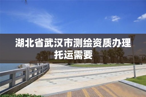 湖北省武汉市测绘资质办理托运需要