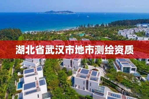 湖北省武汉市地市测绘资质