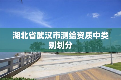 湖北省武汉市测绘资质中类别划分