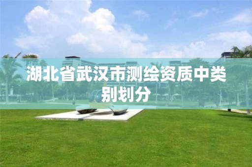 湖北省武汉市测绘资质中类别划分 湖北省武汉市测绘资质中类别划分