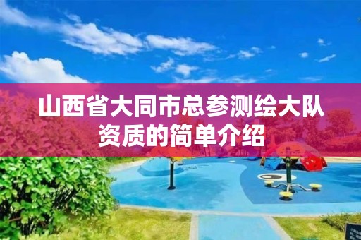 山西省大同市总参测绘大队资质的简单介绍