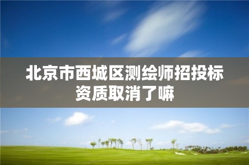 北京市西城区测绘师招投标资质取消了嘛