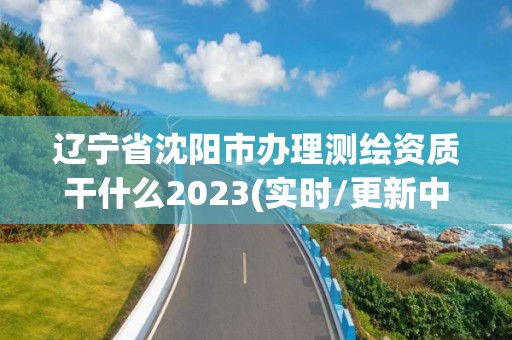 辽宁省沈阳市办理测绘资质干什么2023(实时/更新中)