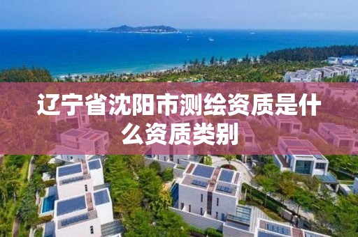 辽宁省沈阳市测绘资质是什么资质类别