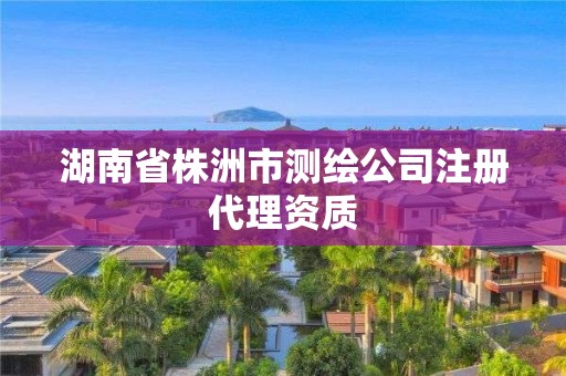 湖南省株洲市测绘公司注册代理资质