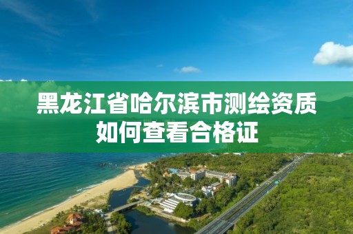 黑龙江省哈尔滨市测绘资质如何查看合格证