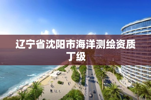 辽宁省沈阳市海洋测绘资质丁级