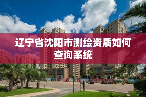 辽宁省沈阳市测绘资质如何查询系统