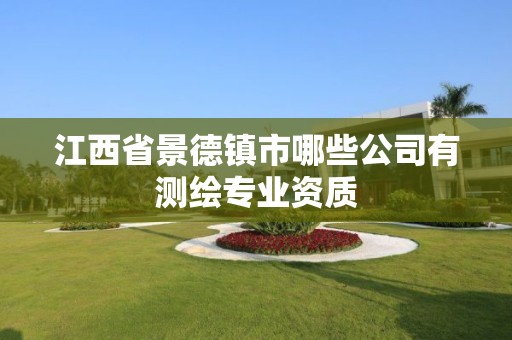 江西省景德镇市哪些公司有测绘专业资质