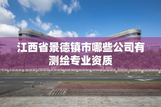 江西省景德镇市哪些公司有测绘专业资质 江西省景德镇市哪些公司有测绘专业资质