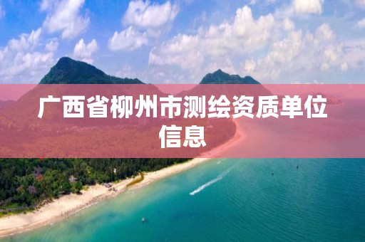 广西省柳州市测绘资质单位信息