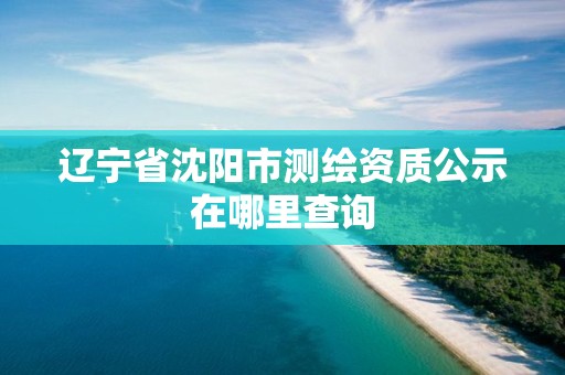 辽宁省沈阳市测绘资质公示在哪里查询