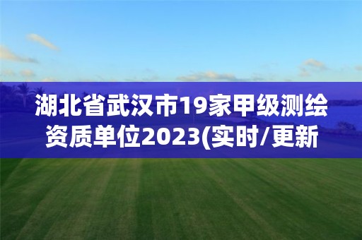 湖北省武汉市19家甲级测绘资质单位2023(实时/更新中)