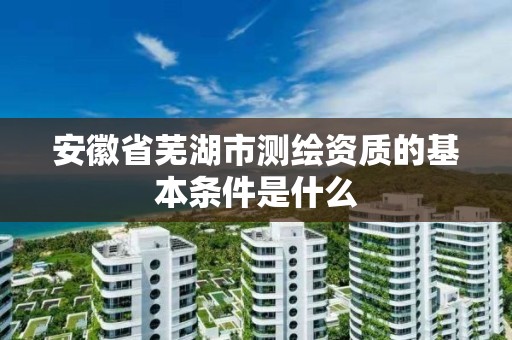 安徽省芜湖市测绘资质的基本条件是什么