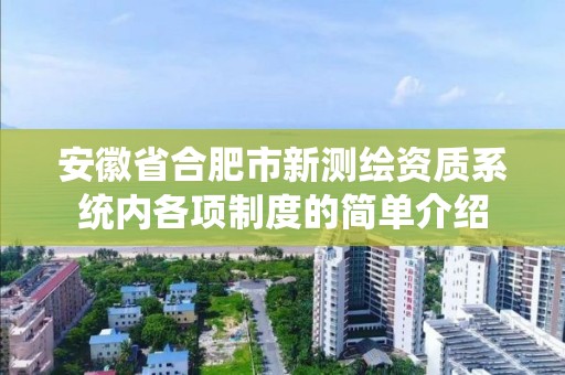 安徽省合肥市新测绘资质系统内各项制度的简单介绍