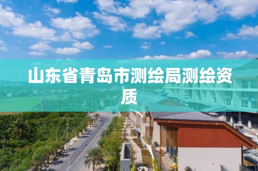 山东省青岛市测绘局测绘资质