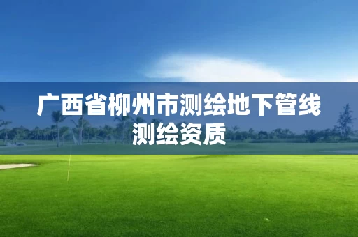 广西省柳州市测绘地下管线测绘资质 广西省柳州市测绘地下管线测绘资质