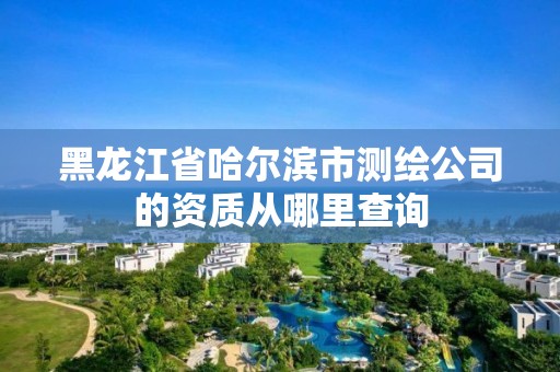 黑龙江省哈尔滨市测绘公司的资质从哪里查询