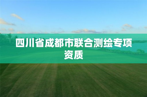 四川省成都市联合测绘专项资质