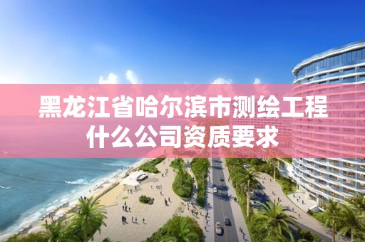 黑龙江省哈尔滨市测绘工程什么公司资质要求