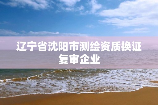 辽宁省沈阳市测绘资质换证复审企业