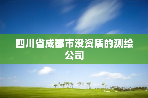 四川省成都市没资质的测绘公司