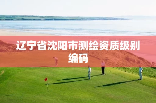 辽宁省沈阳市测绘资质级别编码 辽宁省沈阳市测绘资质级别编码