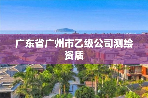 广东省广州市乙级公司测绘资质