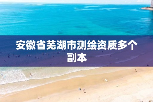 安徽省芜湖市测绘资质多个副本