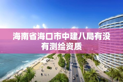 海南省海口市中建八局有没有测绘资质