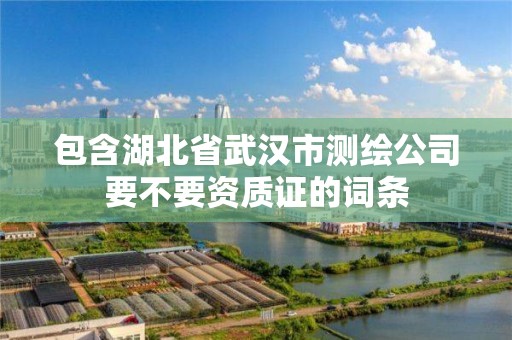 包含湖北省武汉市测绘公司要不要资质证的词条