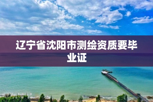 辽宁省沈阳市测绘资质要毕业证