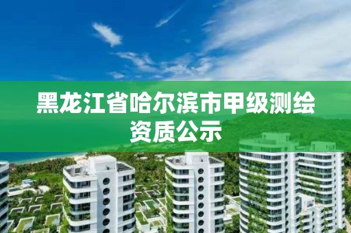 黑龙江省哈尔滨市甲级测绘资质公示