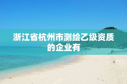 浙江省杭州市测绘乙级资质的企业有