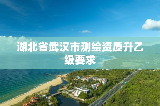 湖北省武汉市测绘资质升乙级要求