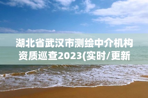 湖北省武汉市测绘中介机构资质巡查2023(实时/更新中)