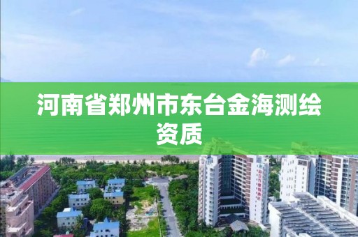 河南省郑州市东台金海测绘资质