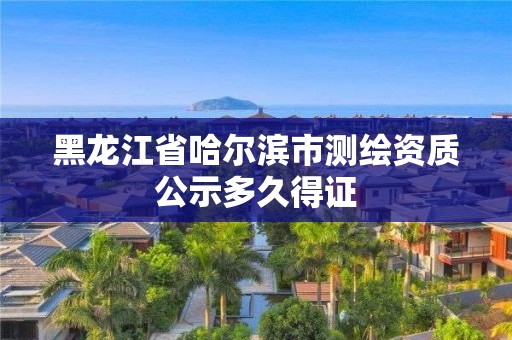 黑龙江省哈尔滨市测绘资质公示多久得证