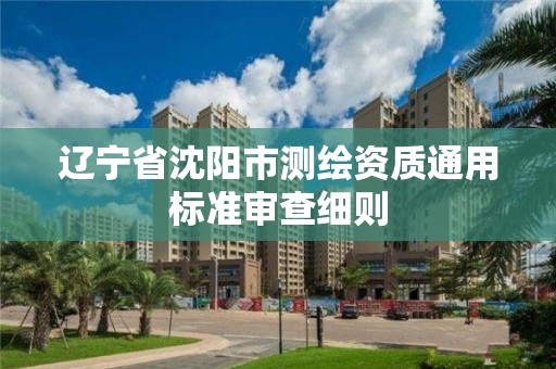 辽宁省沈阳市测绘资质通用标准审查细则