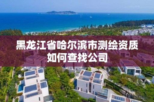 黑龙江省哈尔滨市测绘资质如何查找公司