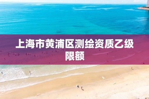 上海市黄浦区测绘资质乙级限额